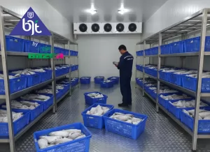 Ruangan pendingin daging dan ikan